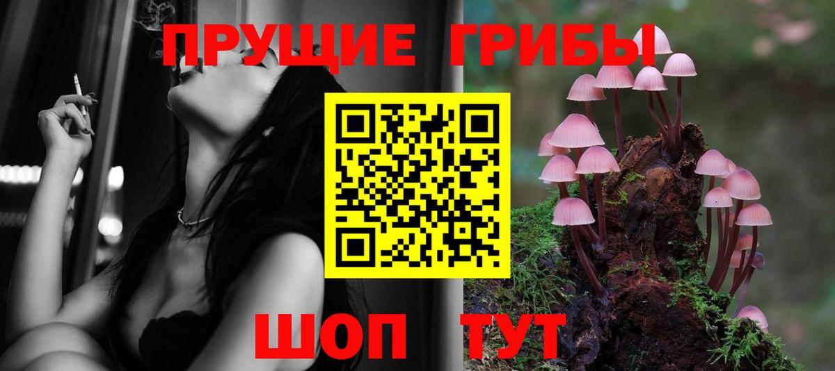 Псилоцибиновые грибы MAGIC MUSHROOMS Отрадный